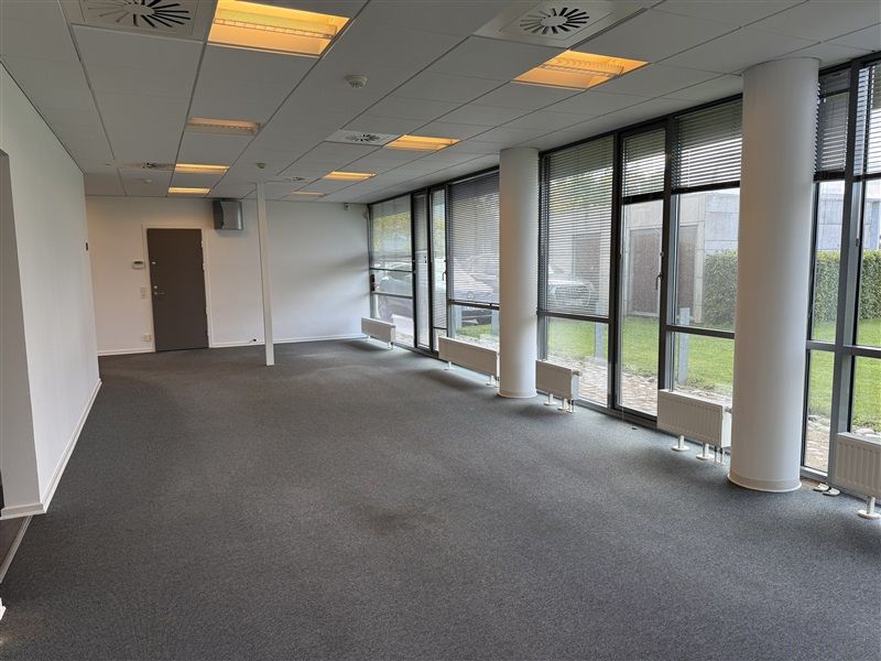 Store lokale med to blanke vægge, vinduer med skur, hvide søjler og radiatorer, tæppegulv og hvide lofter med indbygget