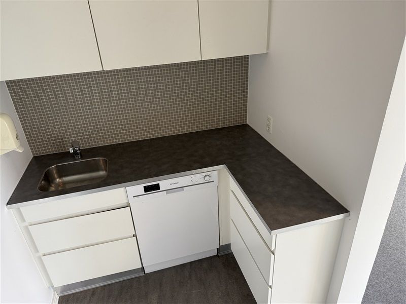 En hvid stue med høj højde og sort granit gulv. Et vaskemaskine står på højre side og et rent vaskebækken på venstre side