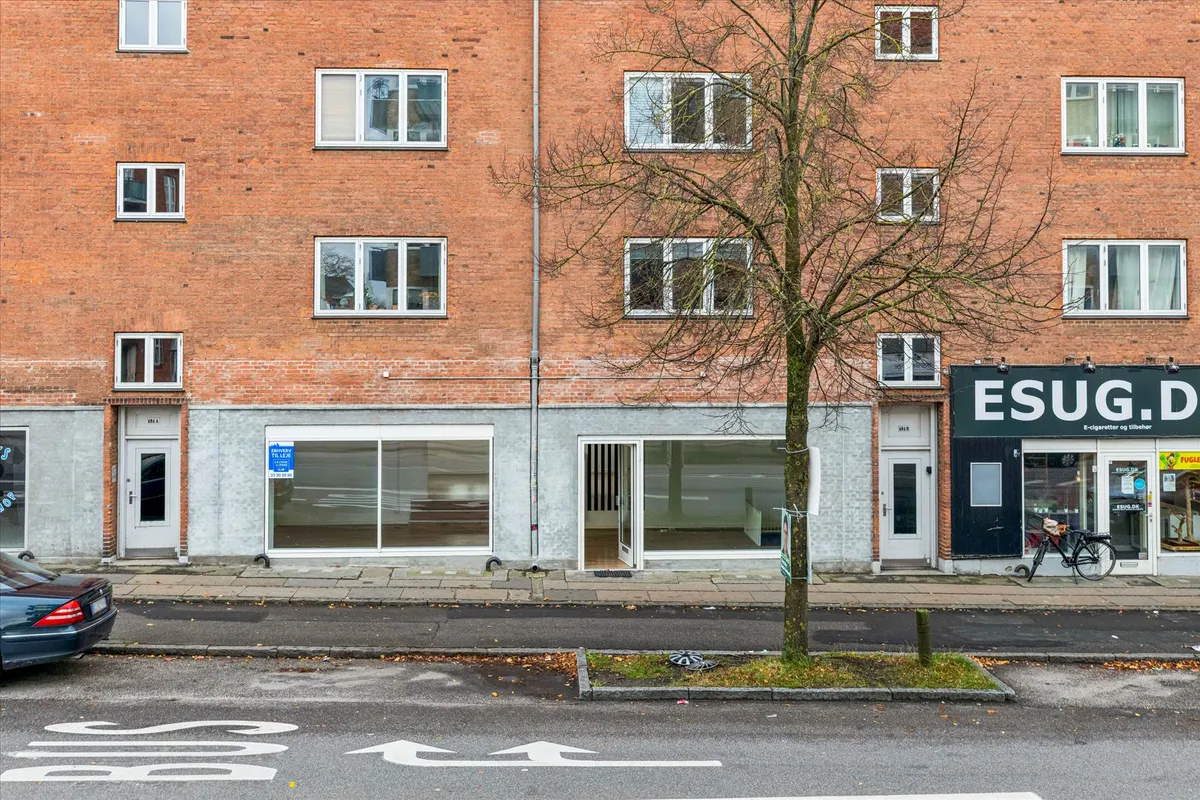 Butik med udstillingsvindue og navneskilt Esug.dk og træ på fortovet og parkeringsforbudsskilt på gaden