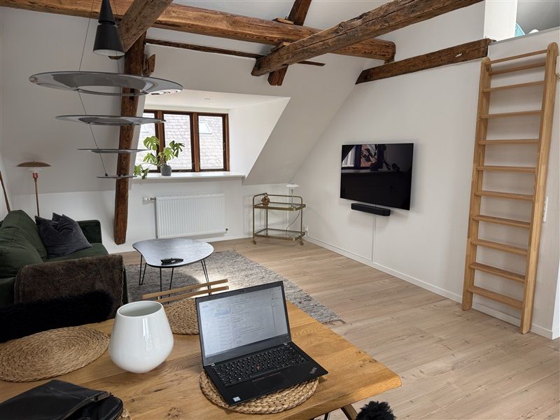 I loftsrummet er der et moderne interiør med en hvid sofa, en åben skorsten, en tv-skærm, en hængende lampe og et åbent skab