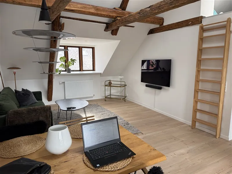 I loftsrummet er der et moderne interiør med en hvid sofa, en åben skorsten, en tv-skærm, en hængende lampe og et åbent skab