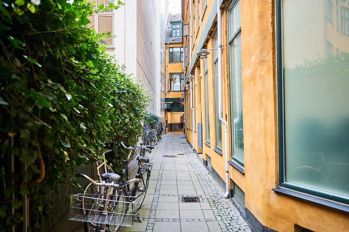 Forsidebillede af lokale