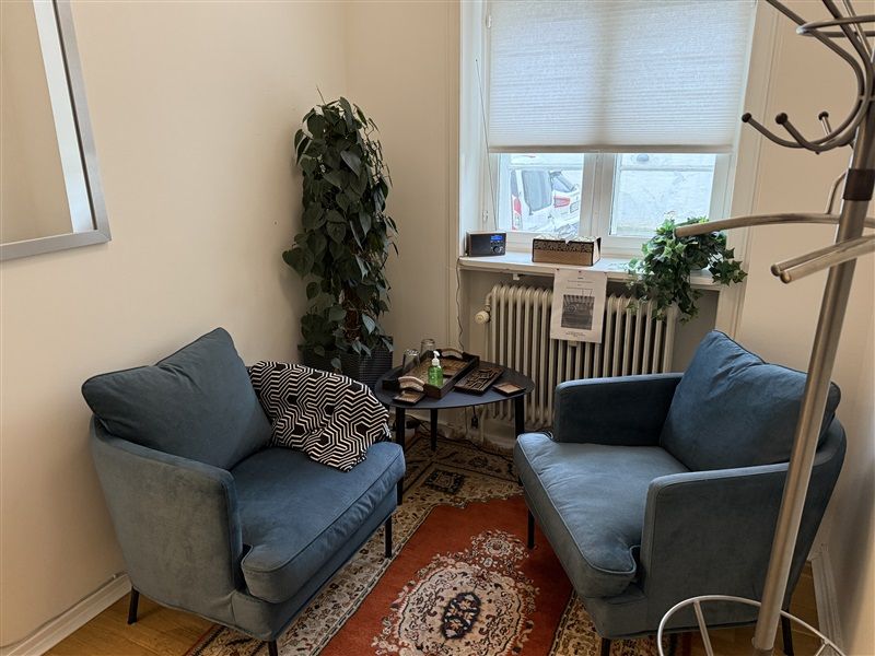 To blå sofaer og et gulvtæppe med orientalsk mønster i et lille kontor med gardiner og en plante ved vinduet