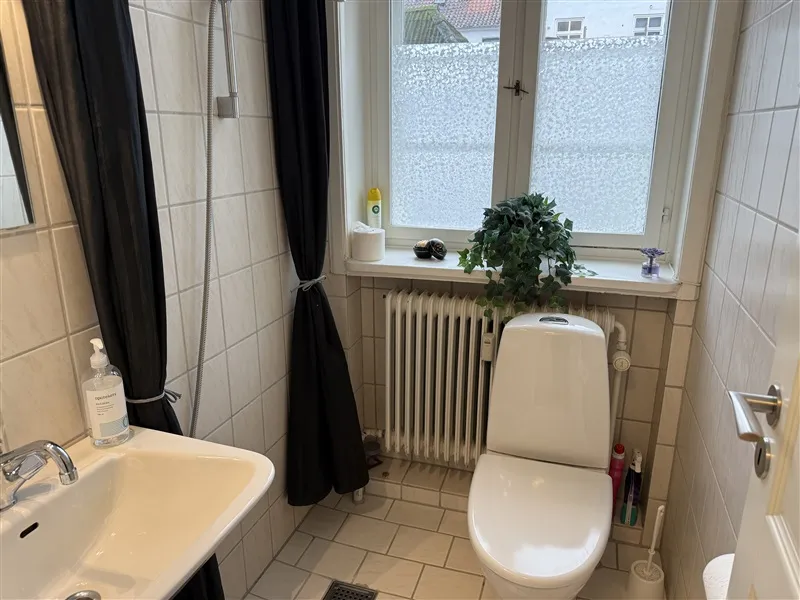 Hvidt toilet med radiator i baggrunden. Bad med hvidt vask og en flaske håndsæbe. Vindue med plante og to lyse refleksioner på glas.