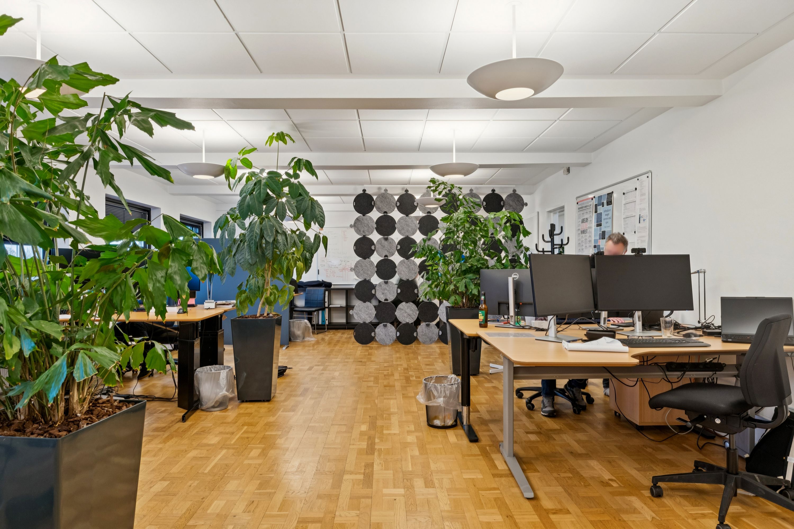 Kontorrum med moderne møbler og plantepoter, slanke skriveborde og lyse loftslamper. Et bord med to computere og en mand sidder og arbejder.