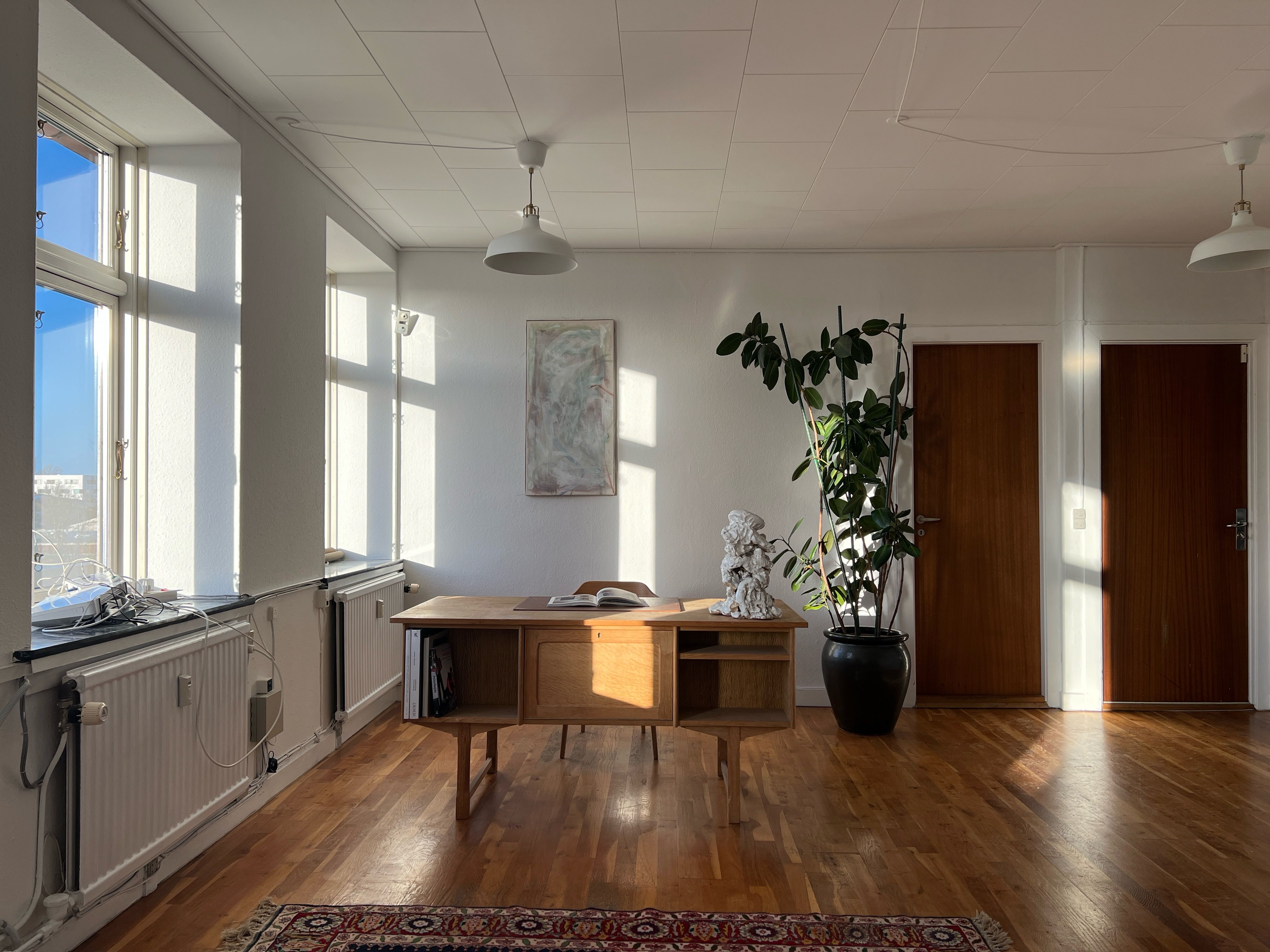 Kontor med lyse vindue med solstråler, trægulv, høj gulvhøjde, moderne møbler og plante ved væggen, lyse loftslampe og lyse brædder