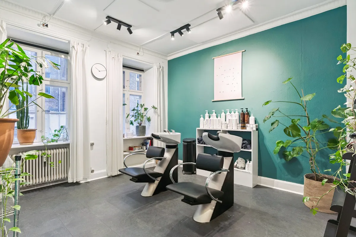 Salon med moderne design, grønne vægge og to stolpeformet hårvaskstationer, oplyst af lysekroner og møbleret med højkvalitets møbler og plantepoteter