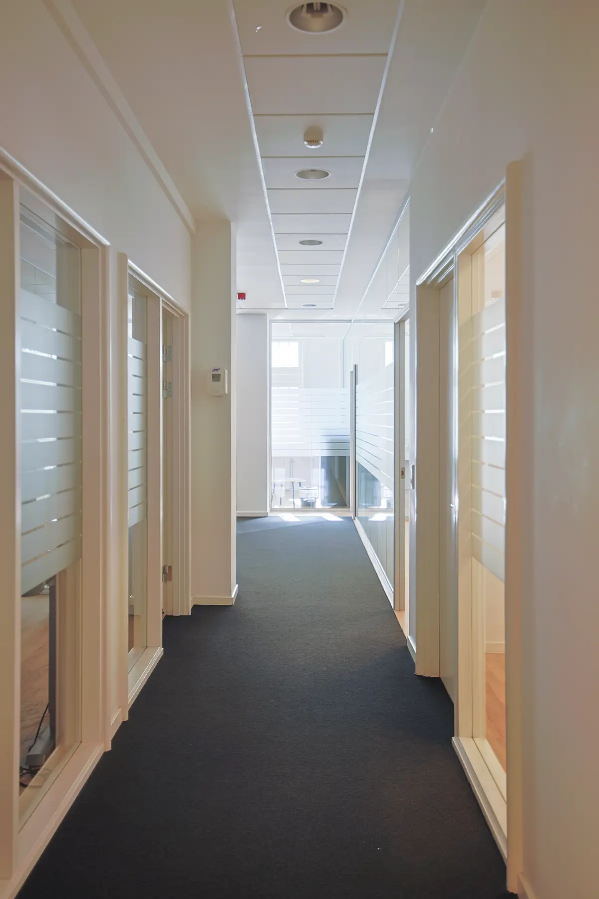 Langt og bredt kontorloft med flere hvide loftspaneler og flere hvide vægge og gulve samt et stribet glasdør og en glasdør