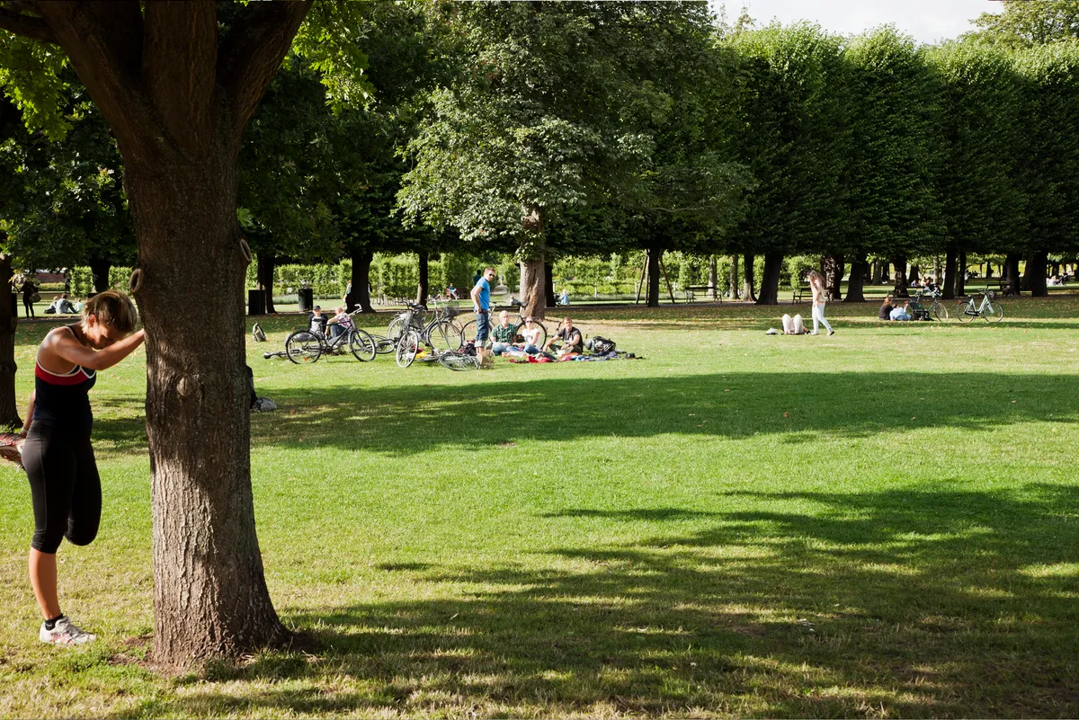 Forsidebillede af lokale