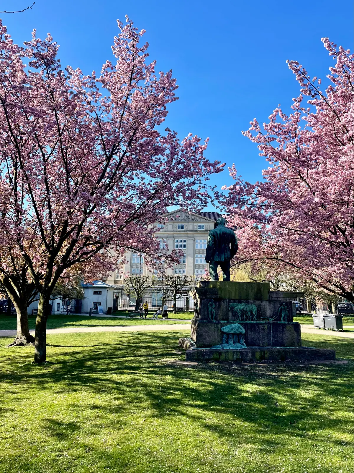 Statue på græs med blomstrende træer og bygning med mange vinduer i baggrunden på en solrig dag