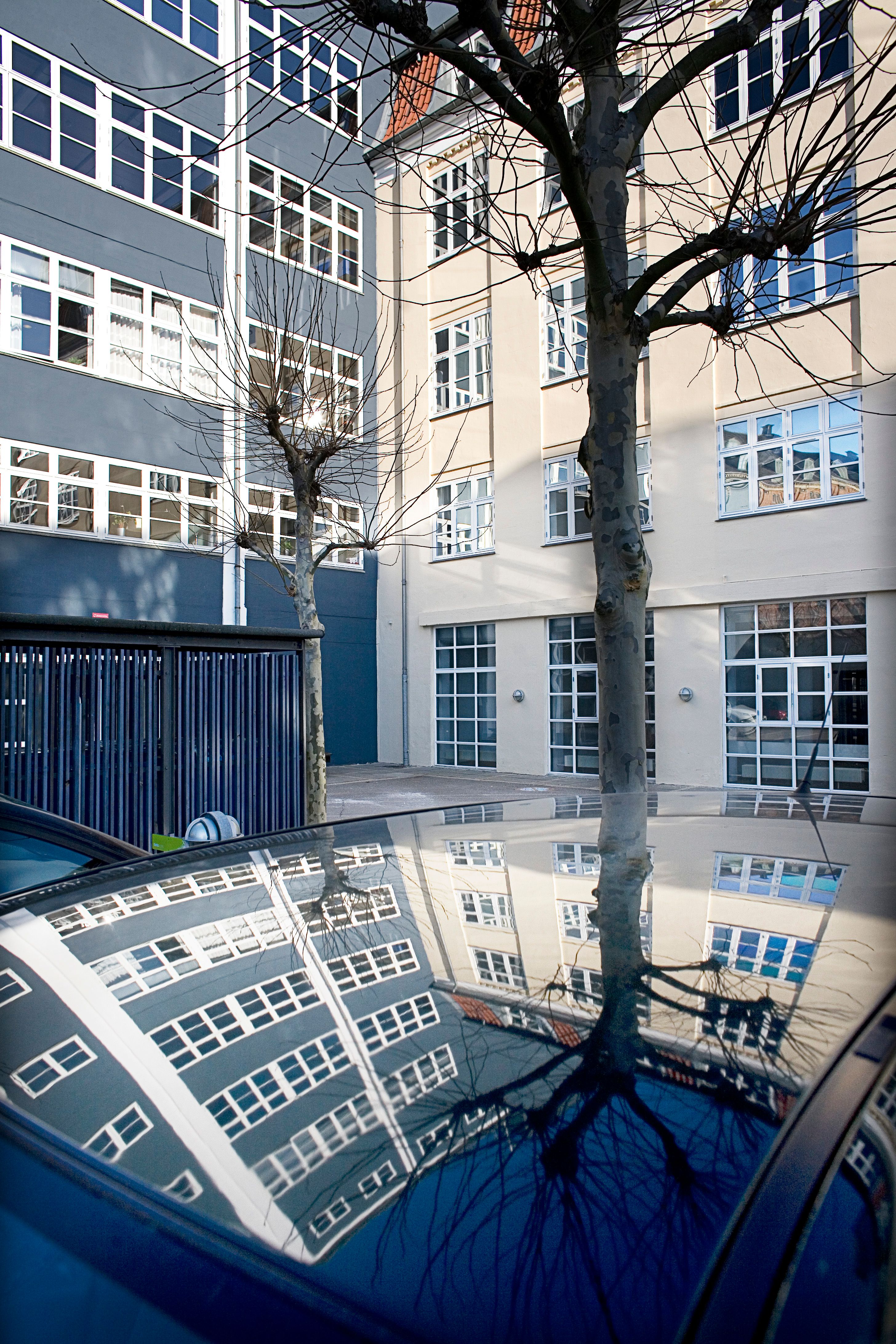 Vinduet på højloftet kontorhus reflekterer bygningens form og et træ. Det høje kontorhus med glasvinduer er oplyst af solen.