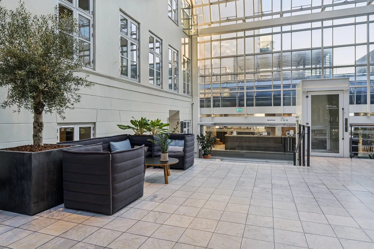 Moderne lobby med oliventræ og møbler. Indvends stue med trægulv og glasvinduer. Solskin i loftet og grønne planter i lyse pander.