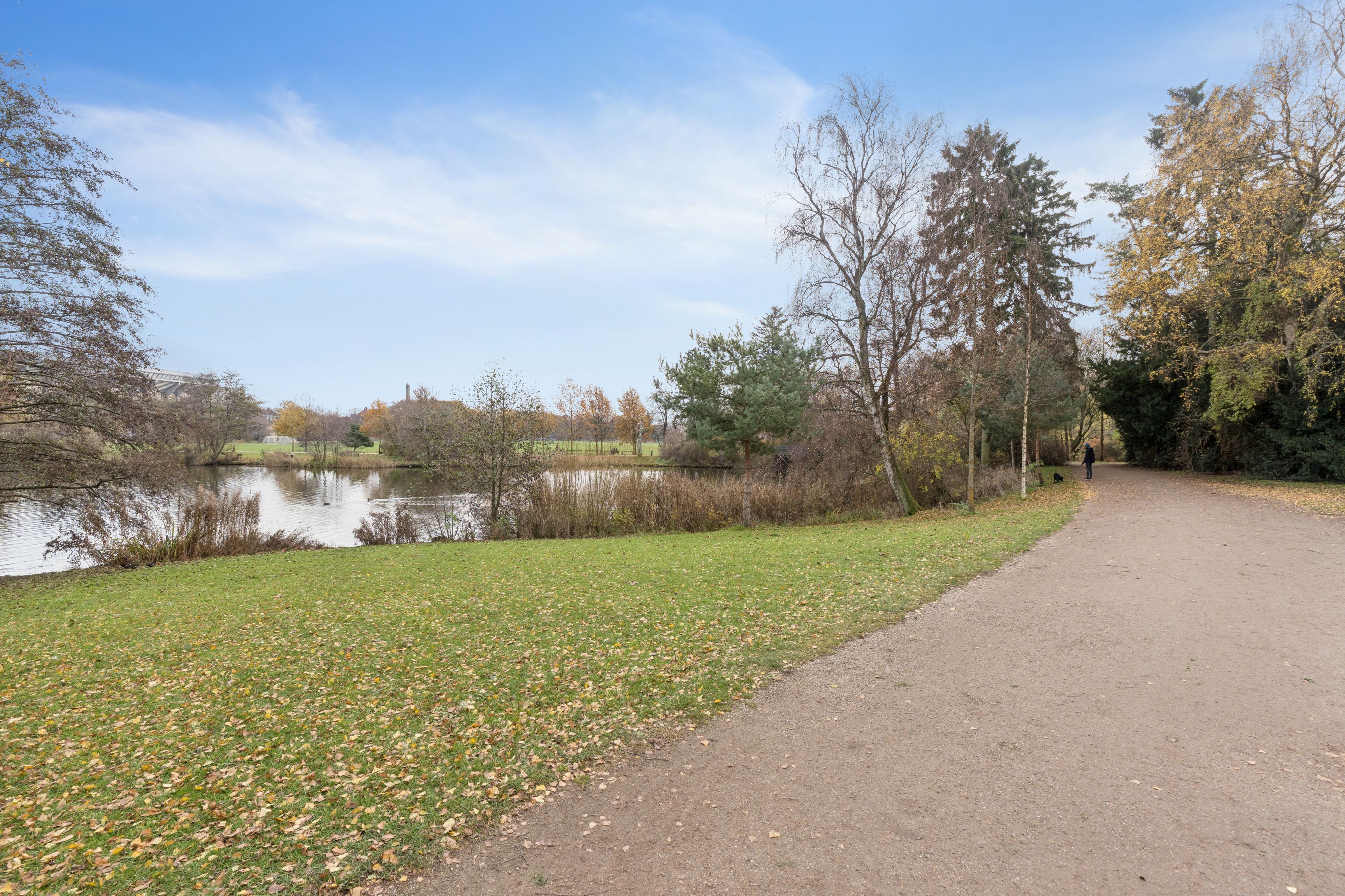 En smal asfaltvej og grønne græsarealer med en sø i baggrunden og en person, der går langs stien