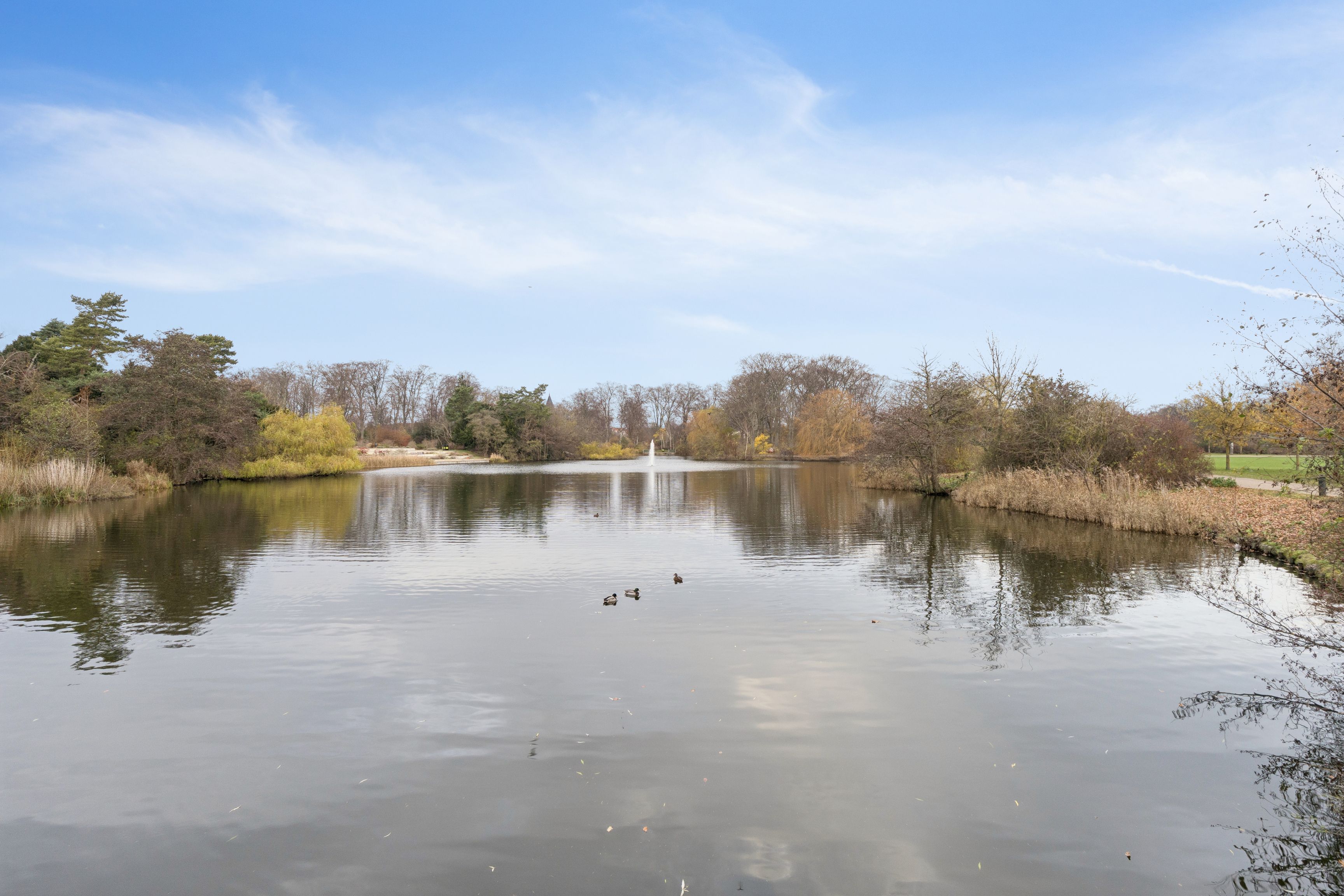 Fredfuld sø med udsigt til parken og små fugle i København N. Solrige himmel og grønne træer. Fredelig atmosfære med udsigt til søen og vandfaldet.