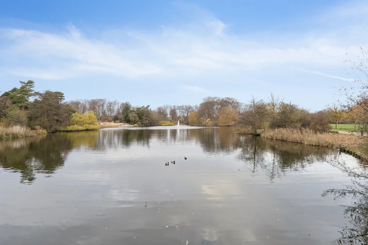 Fredfuld sø med udsigt til parken og små fugle i København N. Solrige himmel og grønne træer. Fredelig atmosfære med udsigt til søen og vandfaldet.
