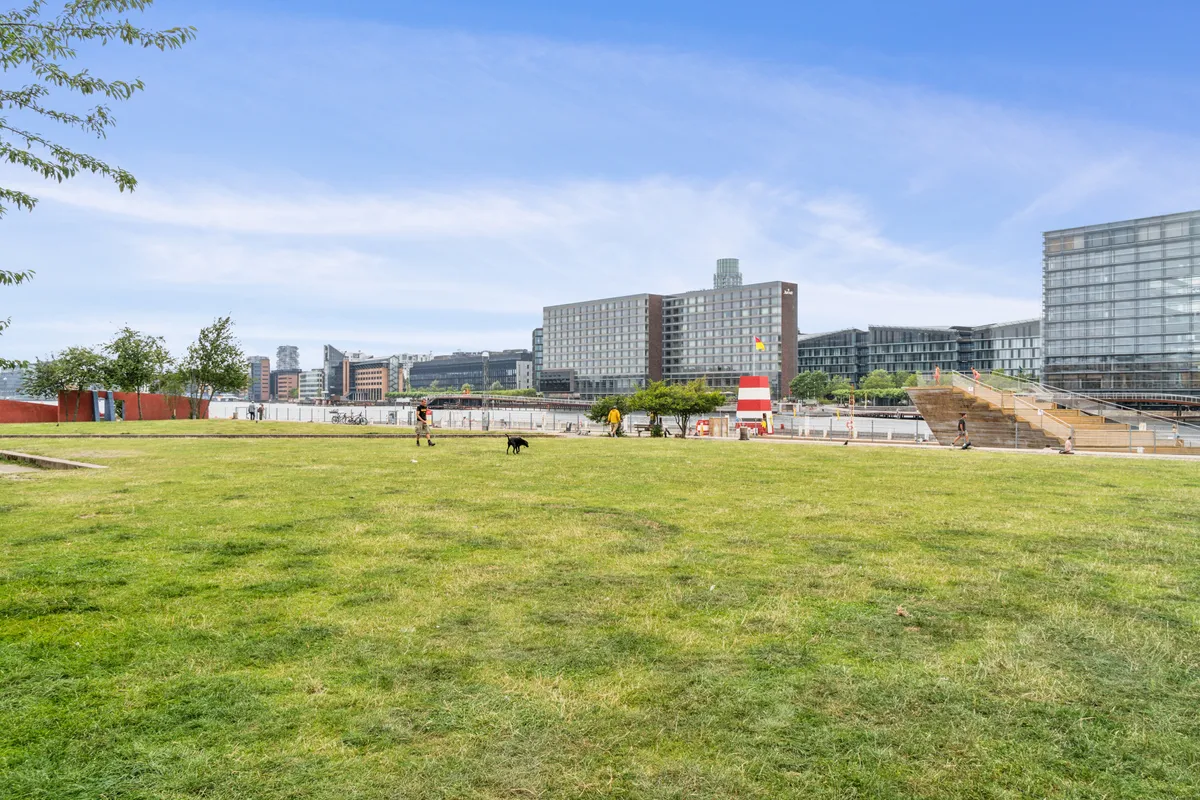 Park med græs, bygninger, personer og hunde i baggrunden, mens en person går med hund, og en anden går op ad trapper