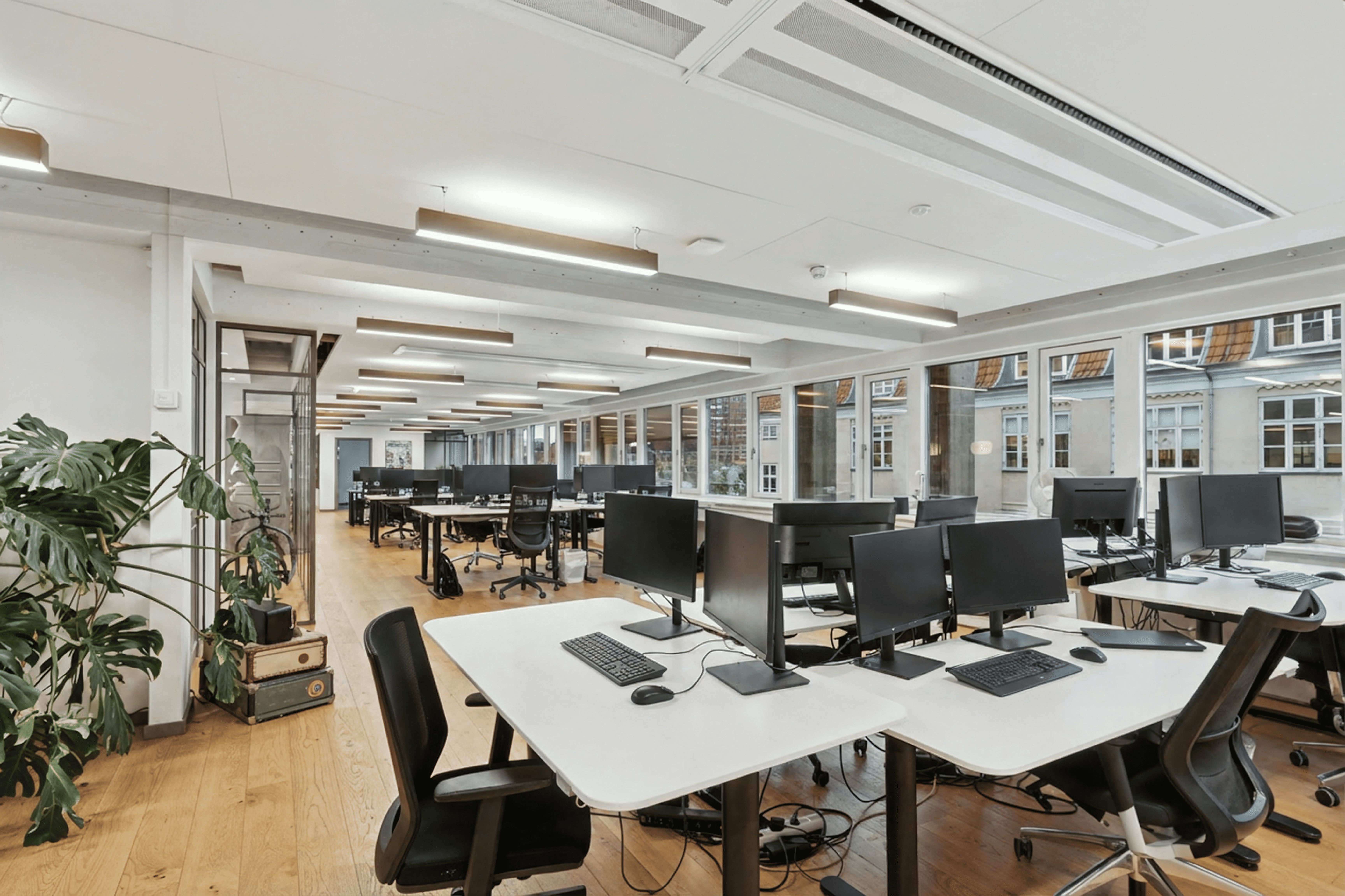 Kontorområde med lyse gulve og store vinduer. Store monitorer på skrivebordene og lyse, moderne loftsbelysning. En stor grøn plante ved siden af en skrivebord.