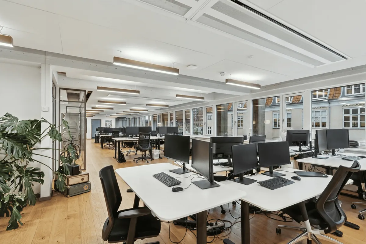 Kontorområde med lyse gulve og store vinduer. Store monitorer på skrivebordene og lyse, moderne loftsbelysning. En stor grøn plante ved siden af en skrivebord.