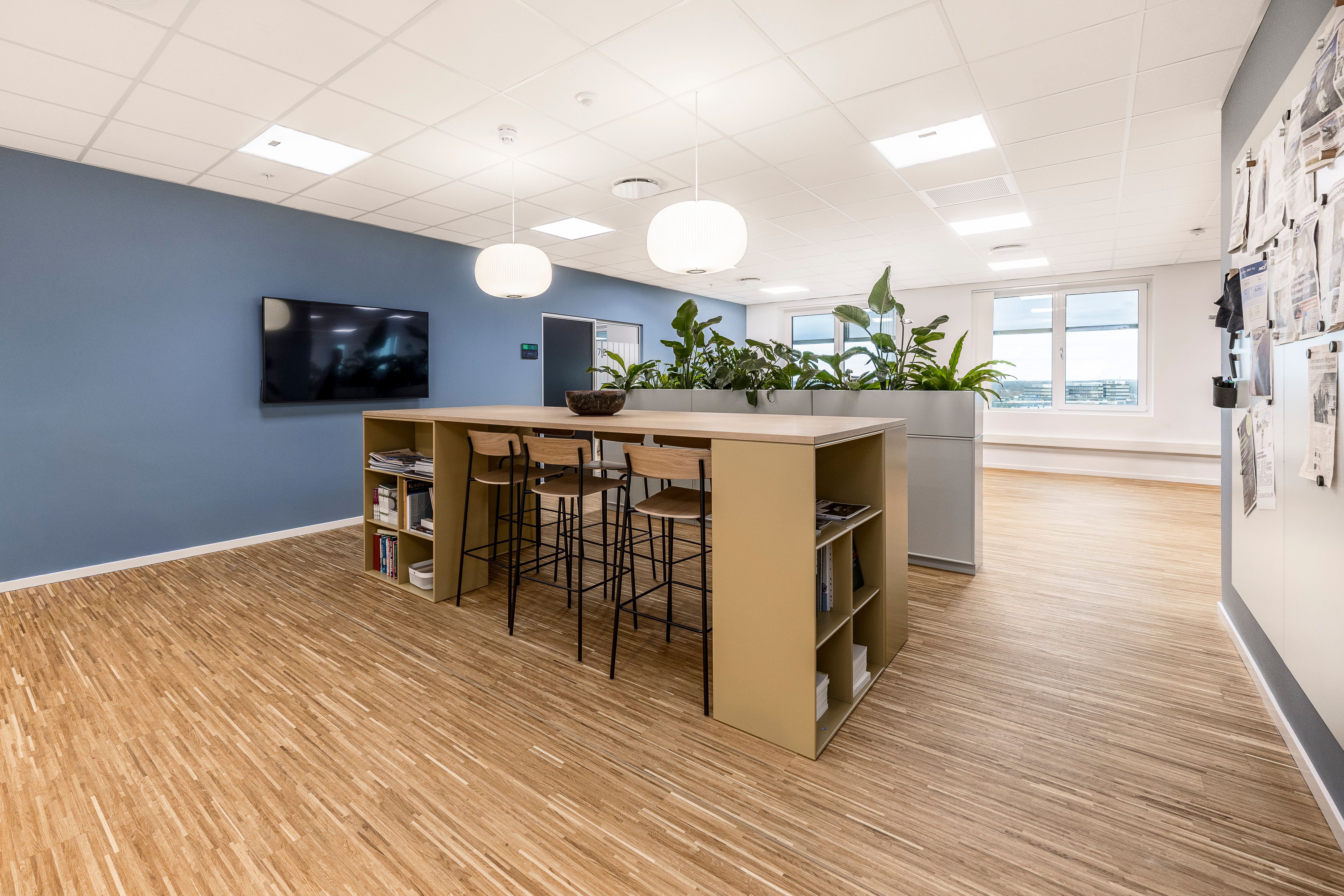 En stor fællesområde med en stor bord, fire sædestole, en tv-skærm og to store plantager. Væggene er blå og der er et hvidt loft med lys og en stor vinduesvæg.