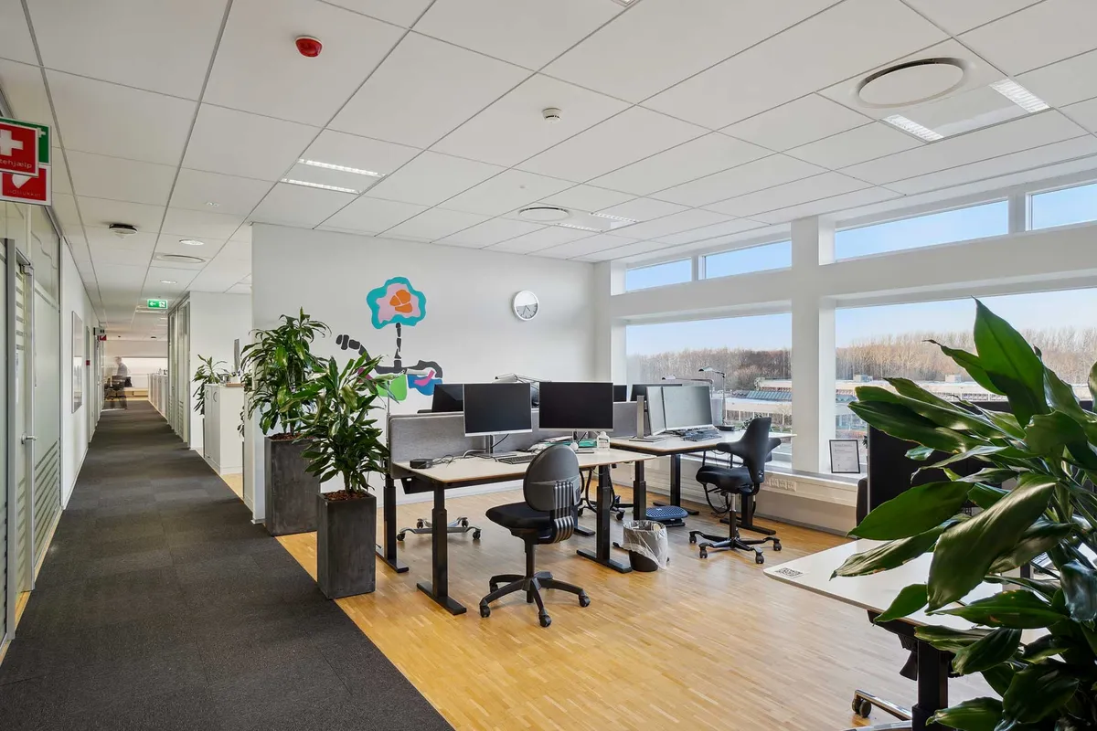 Kontor med moderne møbler, skriveborde og computere, lyse vinduer og grønne planter samt tegning på væggen