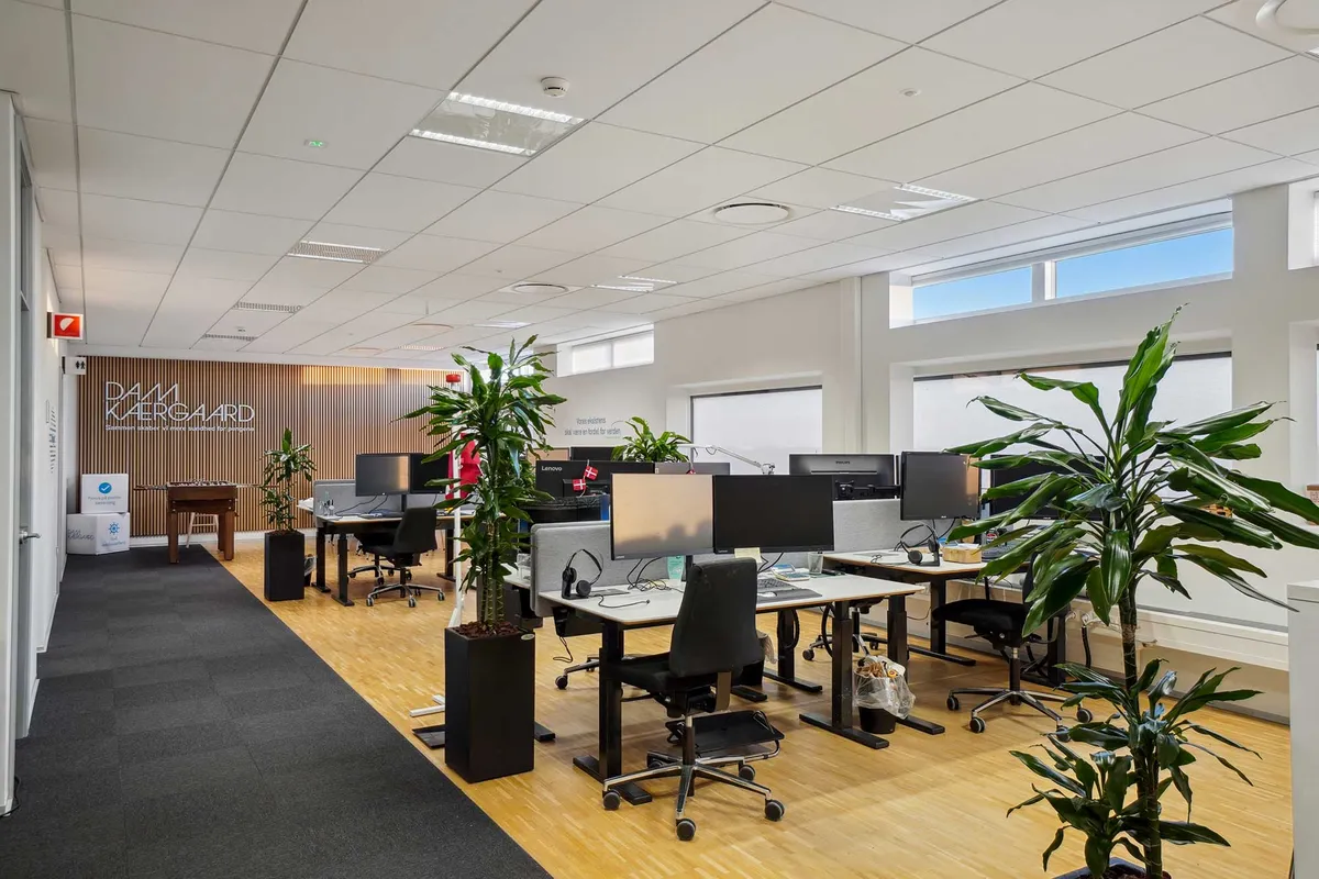 Kontor med lyse lofter, moderne møbler og store vinduer, som giver masser af naturligt lys. Væggen er i træ med en skrift med navnet Damgaard