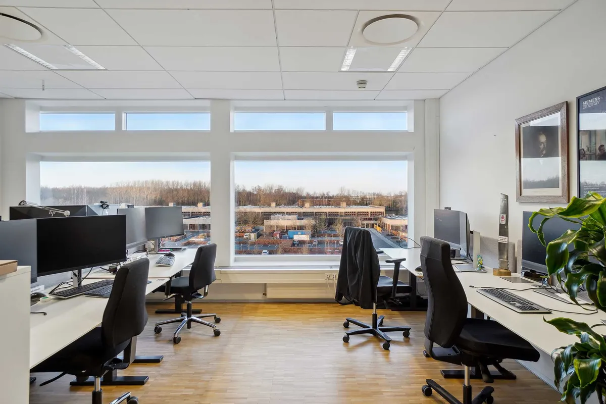 Kontor med lyse vinduer og udsigt, moderne skriveborde og stole, to store skærme og en plante.