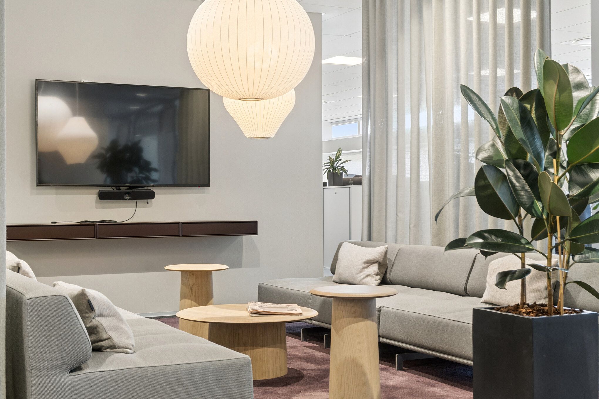 Kontorlokaler med lyse loftslamper, moderne sofaer, slanke højborde og store ficusplanter i hjørner. Plantepotte og tv-skærm er monteret på væggen