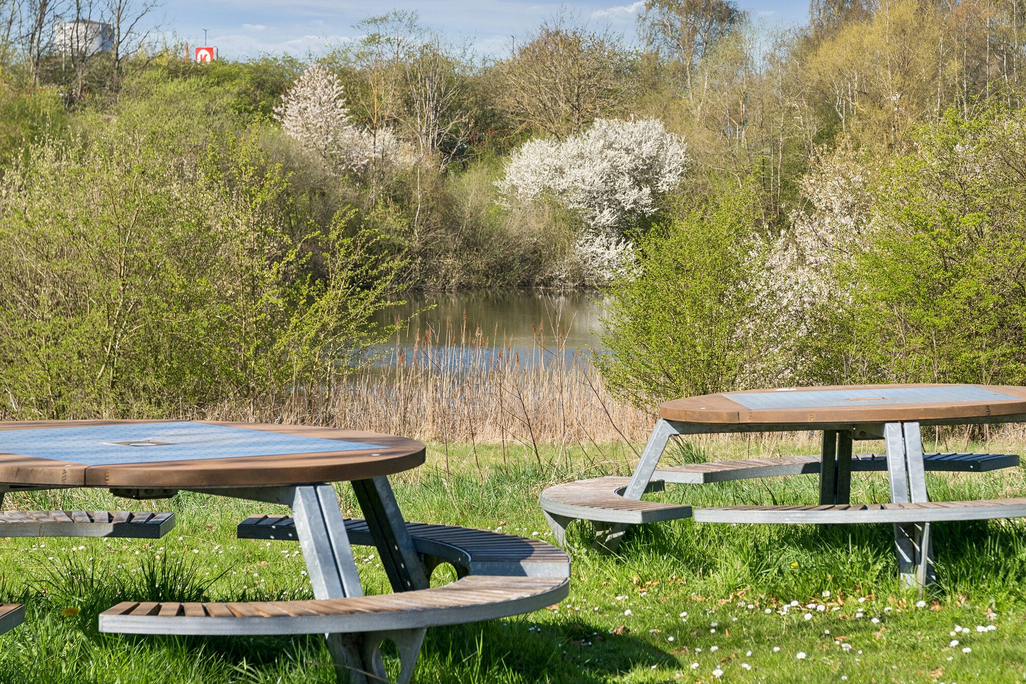 Moderne rundt picnicbord med græs og blomster på en bakke med vand og træer i baggrunden, sammen med en bygning og skilt