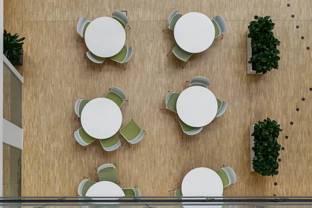 Runde borde med grønne og hvide stole i et kontorlokal med en trægulv og plantepotter med grønne planter i hjørnerne.