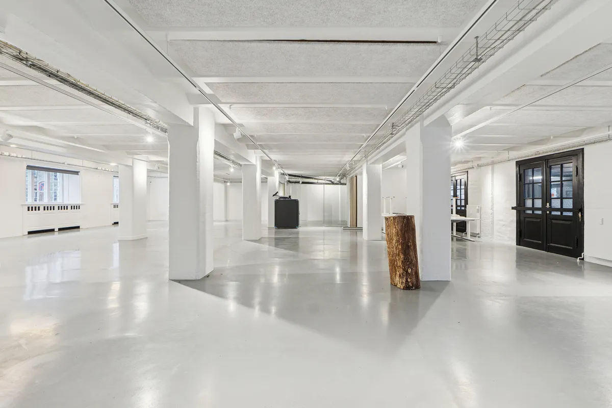 Et stort og lyst rum med hvide vægge og gulve og høje hvide søjler i midten og et træ stamme på gulvet