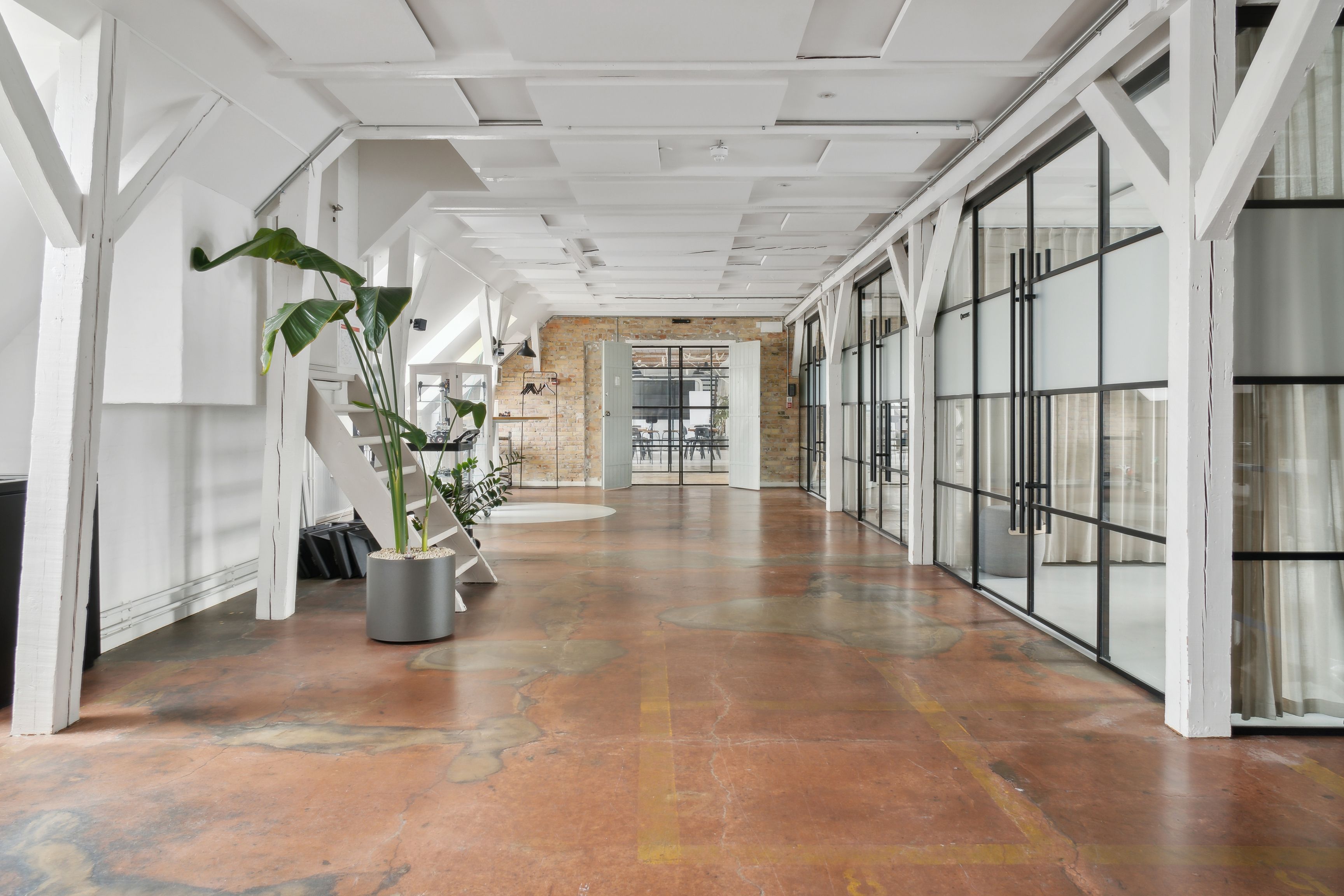Moderne kontorlejemål med højloft, glasvinduer og indvendig plante. Rå og charmerende erhvervsmiljø i hjertet af Njalsgade kvarter. Minimalistisk og nydelig design med råt gulv og hvide vægge.