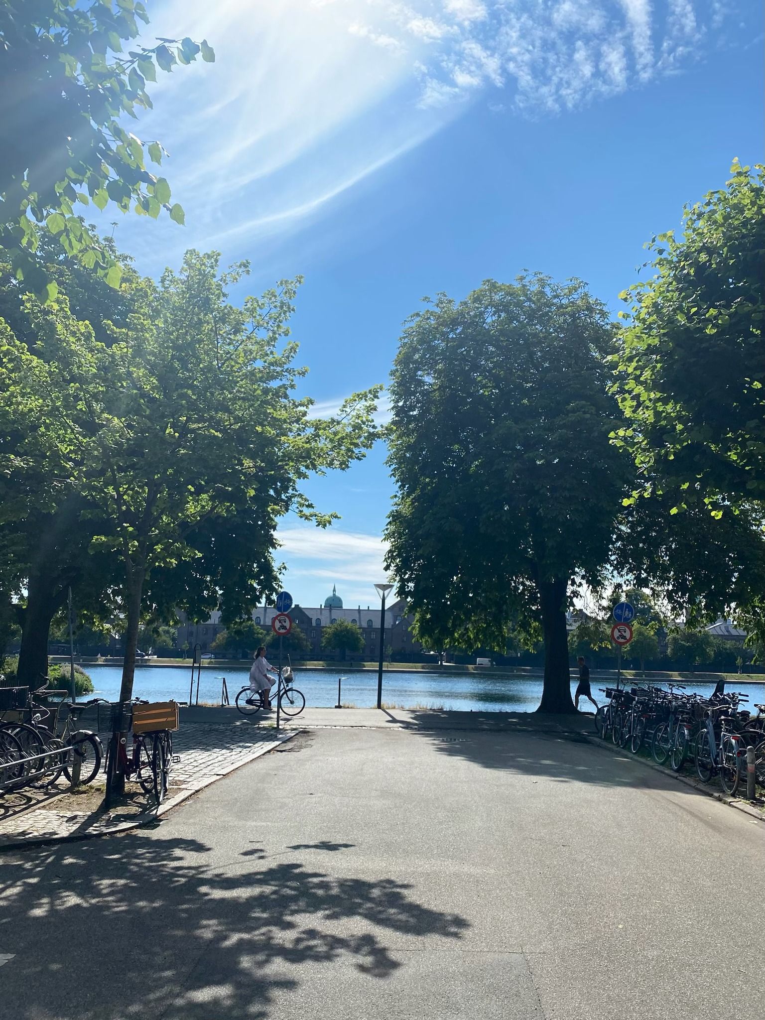 Større skovområde med grønne træer og skyggefulde veje med stier og cykler samt vand på baggrunden.