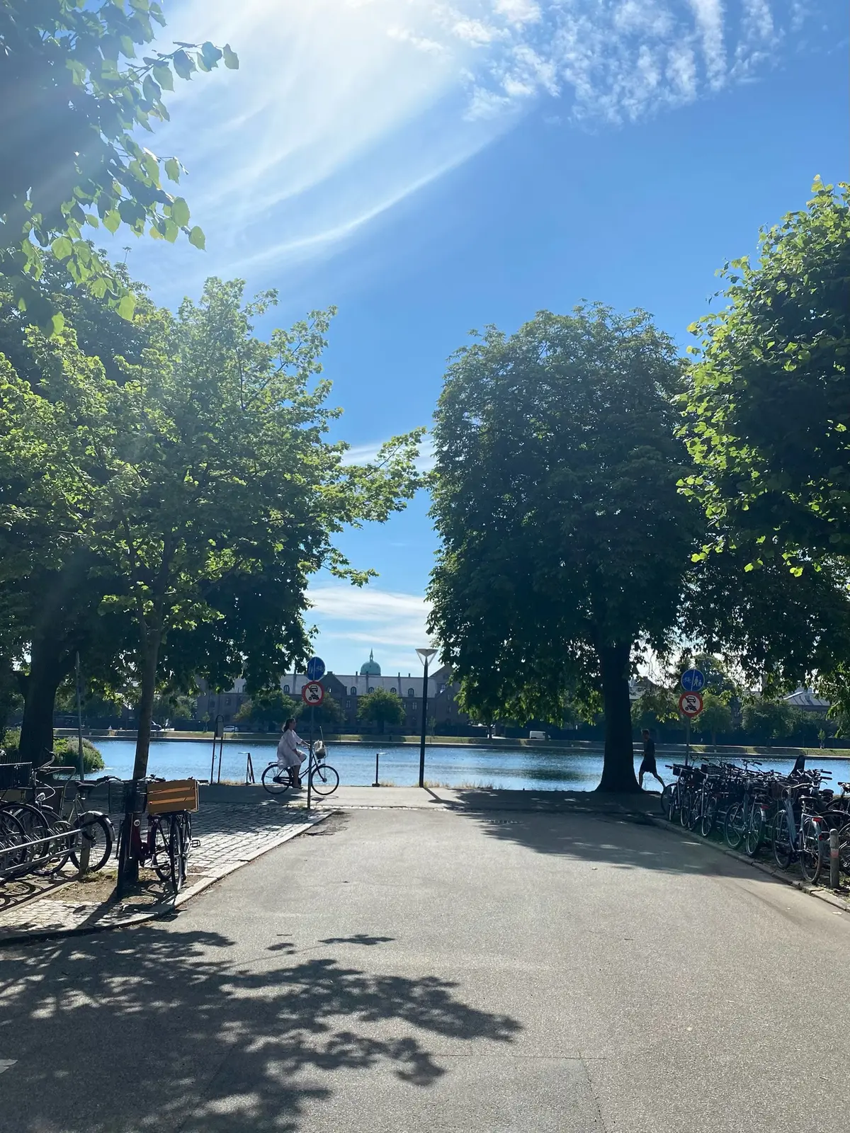 Større skovområde med grønne træer og skyggefulde veje med stier og cykler samt vand på baggrunden.