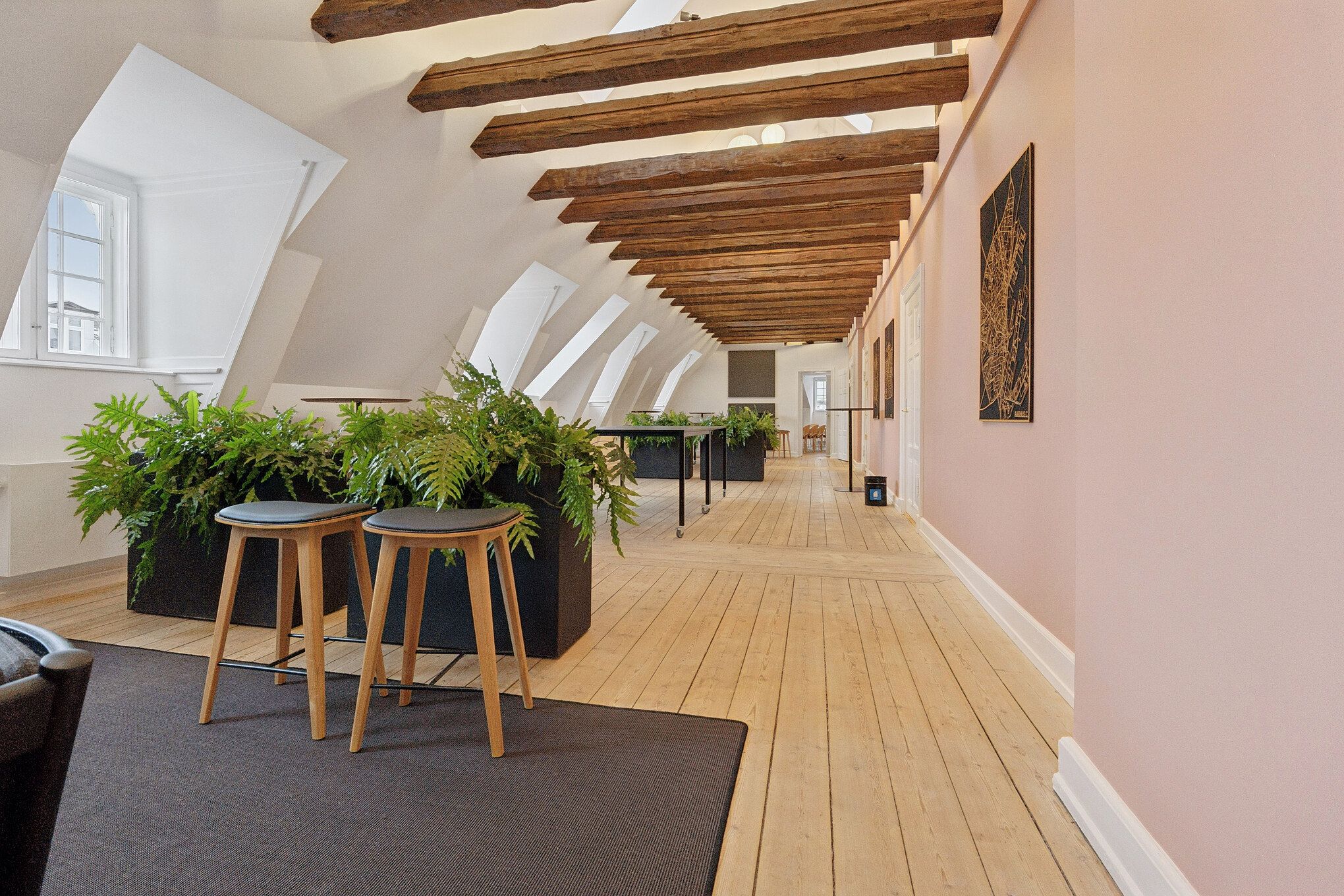 Kontorlokaler med lyse lofter og lysegule vægge, store planter og lyse træstole samt moderne møbler og kunstværker på væggen