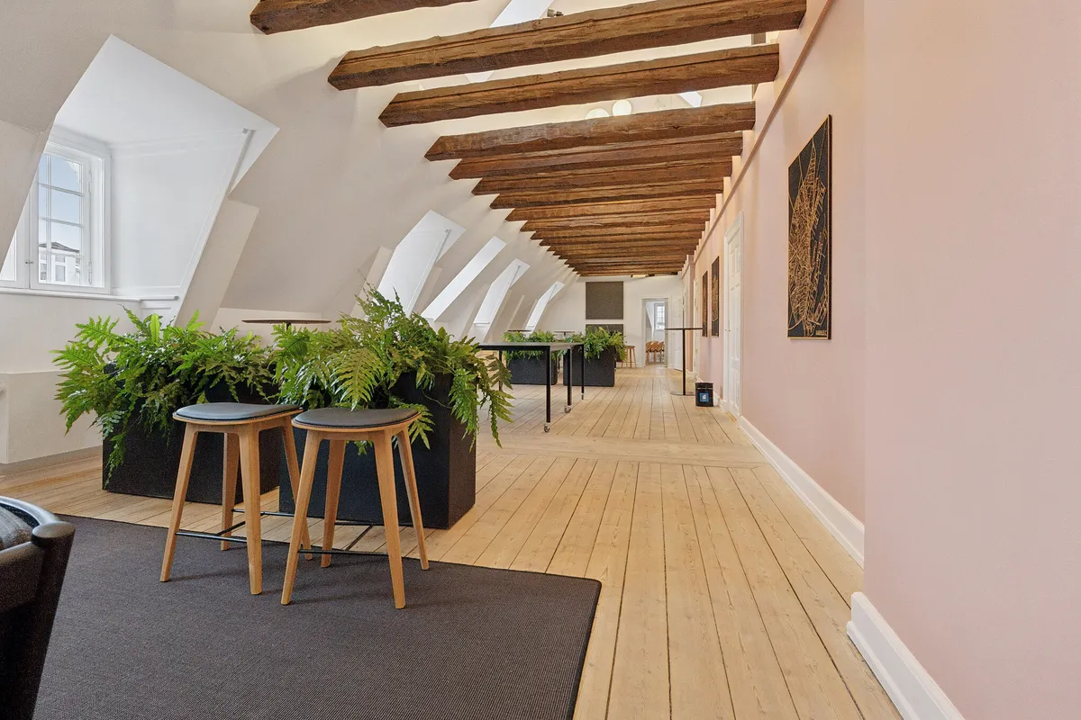 Kontorlokaler med lyse lofter og lysegule vægge, store planter og lyse træstole samt moderne møbler og kunstværker på væggen