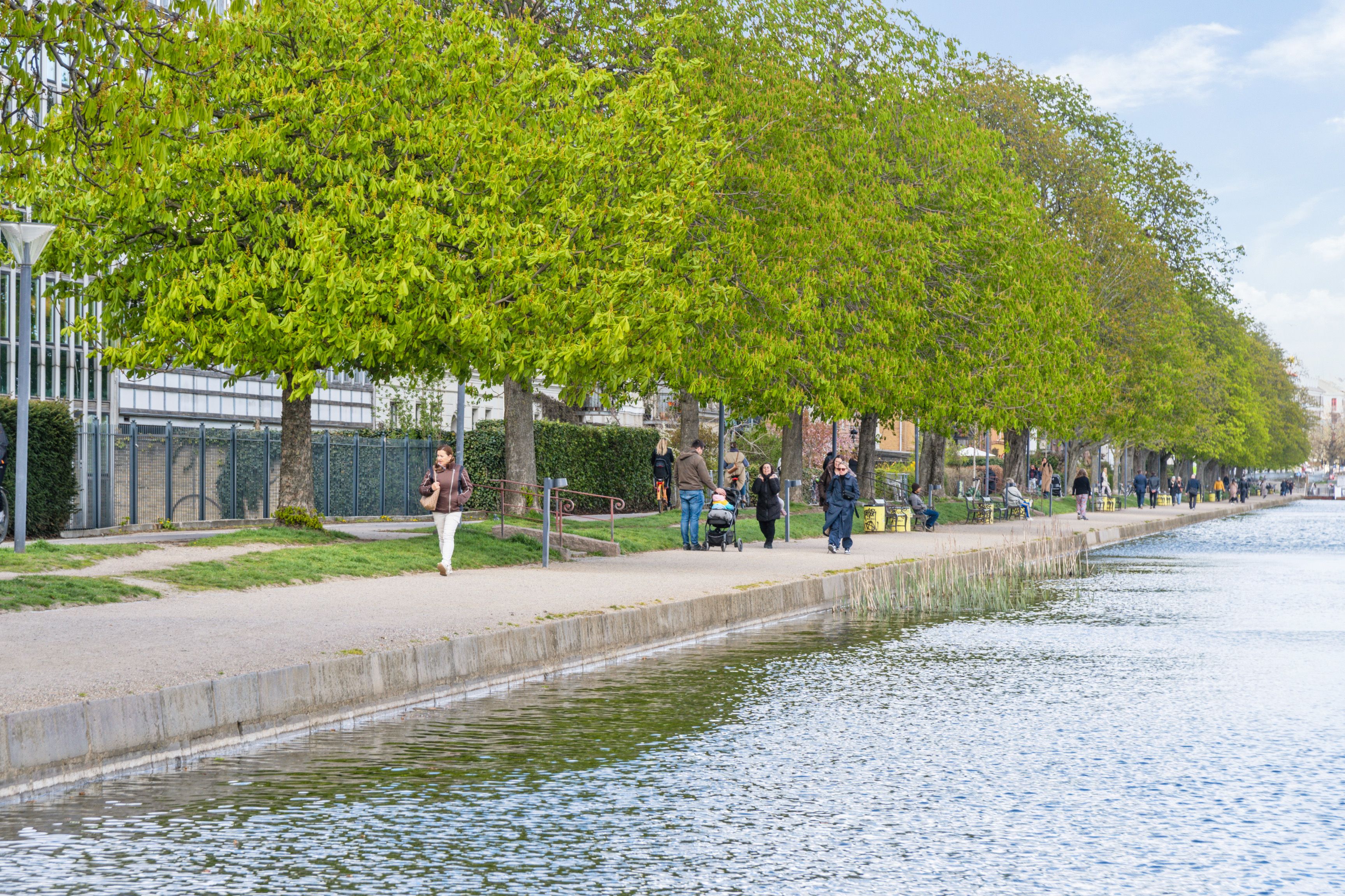 Folk går og nyder vejbreddet ved en smuk vandvej med grønne træer, blomstrende buske og høje bygninger i baggrunden.