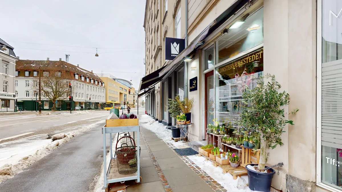 Planter på gulvet og i potteplanter i rækker og en kurv med købte varer og en rullebænk på siden af vejen i en by med forretninger og bygninger