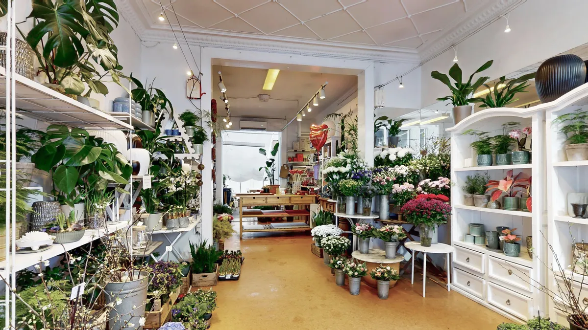Inde i en plantebutik med mange grønne planter og blomster i potter, hængende lamper og hylder med forskellige udstillinger.