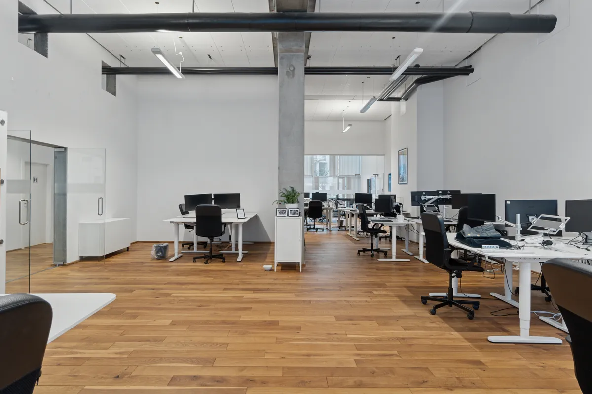 Moderne kontorlokaler med hvide vægge, lyse trægulve, høje lofter og lyse vinduer. Værelser med borde, stole, computere og plante. Elegant design med lyse, funktionelle kontorer.