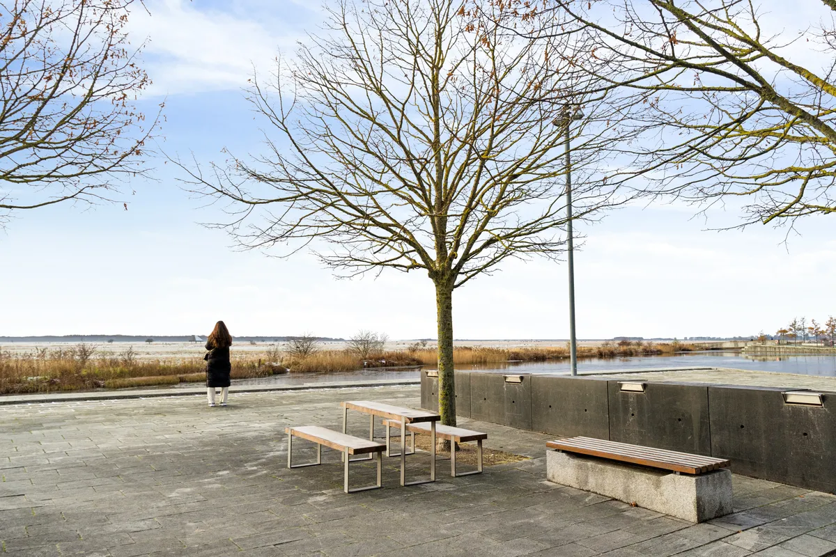 Kvinde står og betragter udsigten over vandet. Parkbænke og træer på en terrasse med udsigt over vandet og marker.