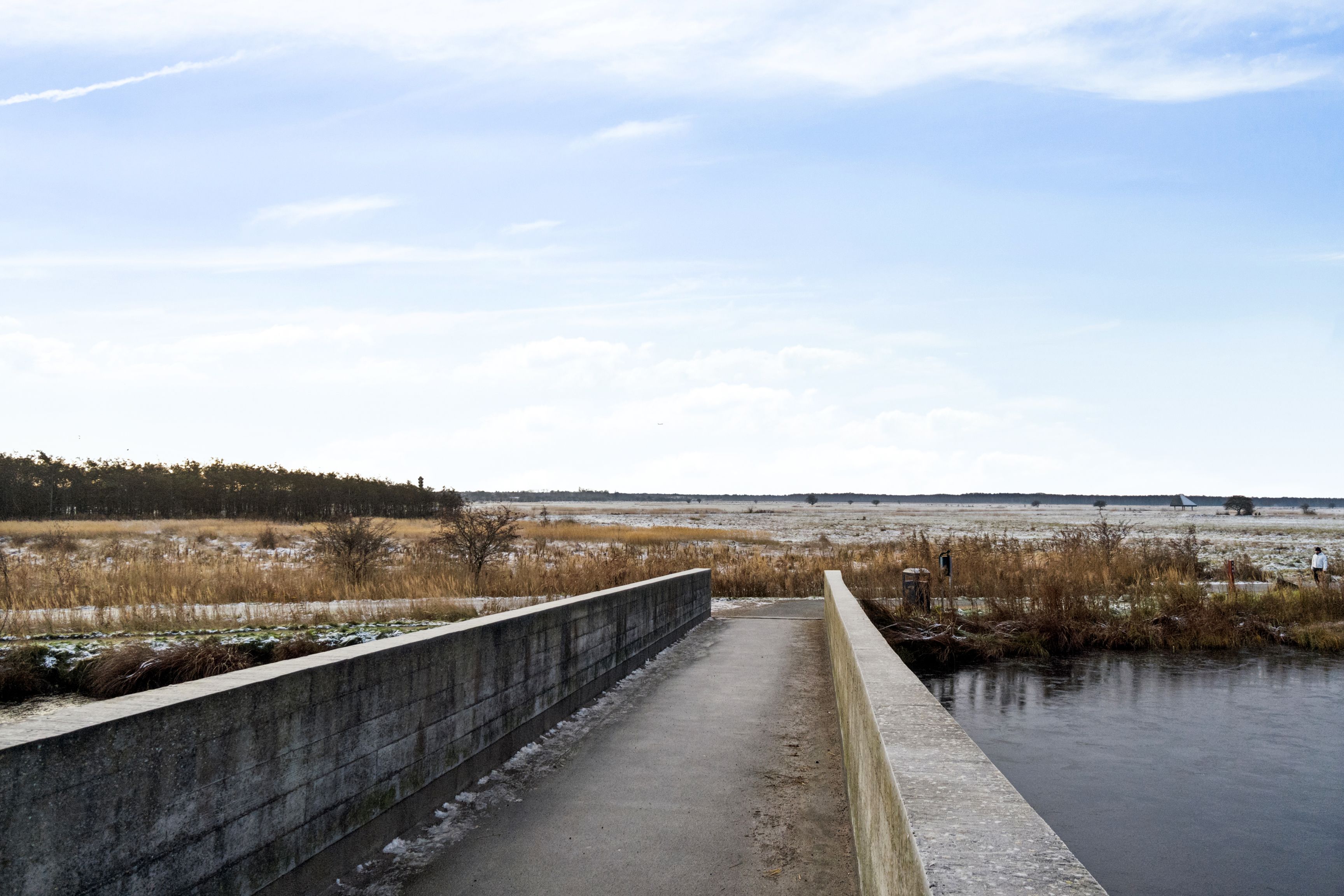 Vej langs vandet med snor af sne og en person går i baggrunden med udsigt over græsmarker og skov