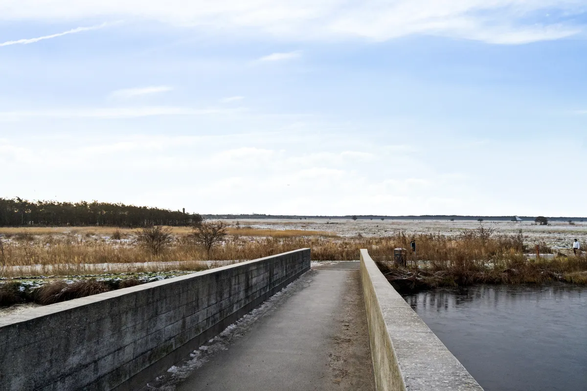 Vej langs vandet med snor af sne og en person går i baggrunden med udsigt over græsmarker og skov