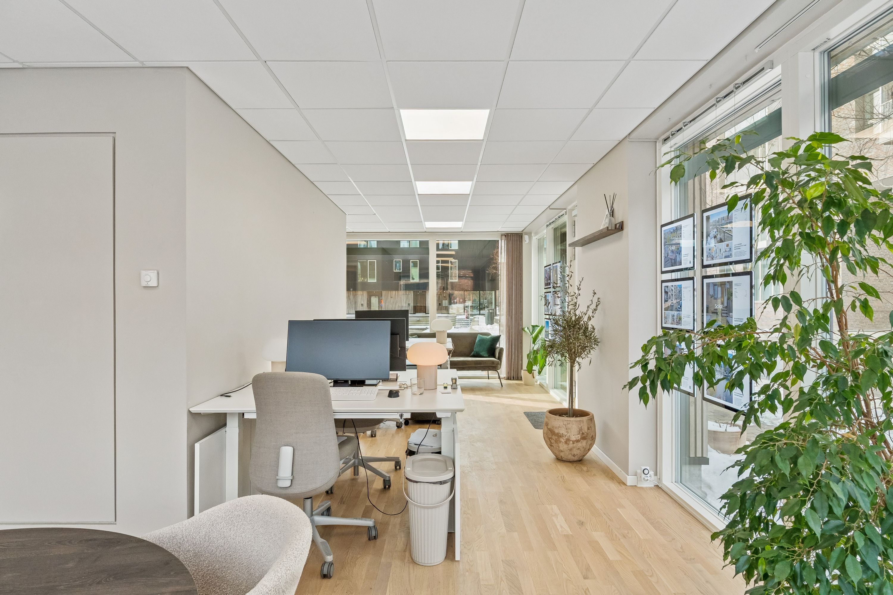 Kontor med lyse lofter og lyse gulve, moderne møbler, plante og skrivebord med computer og lamper.