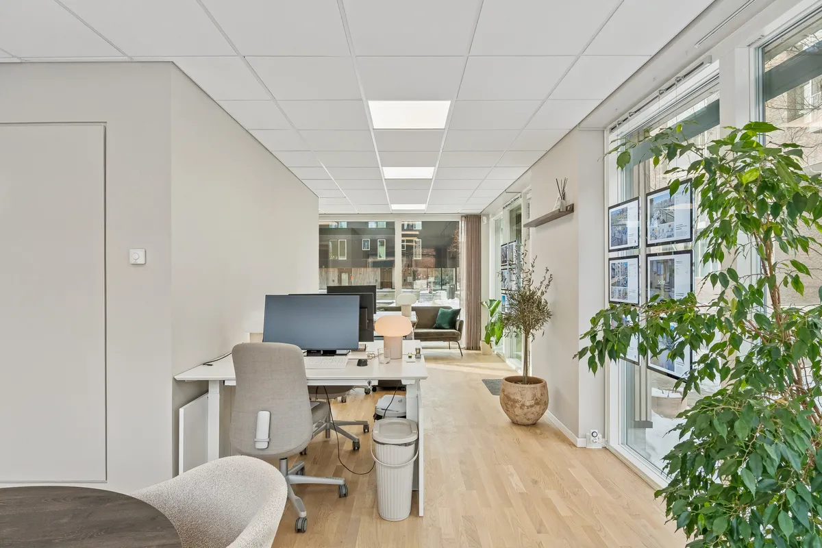 Kontor med lyse lofter og lyse gulve, moderne møbler, plante og skrivebord med computer og lamper.