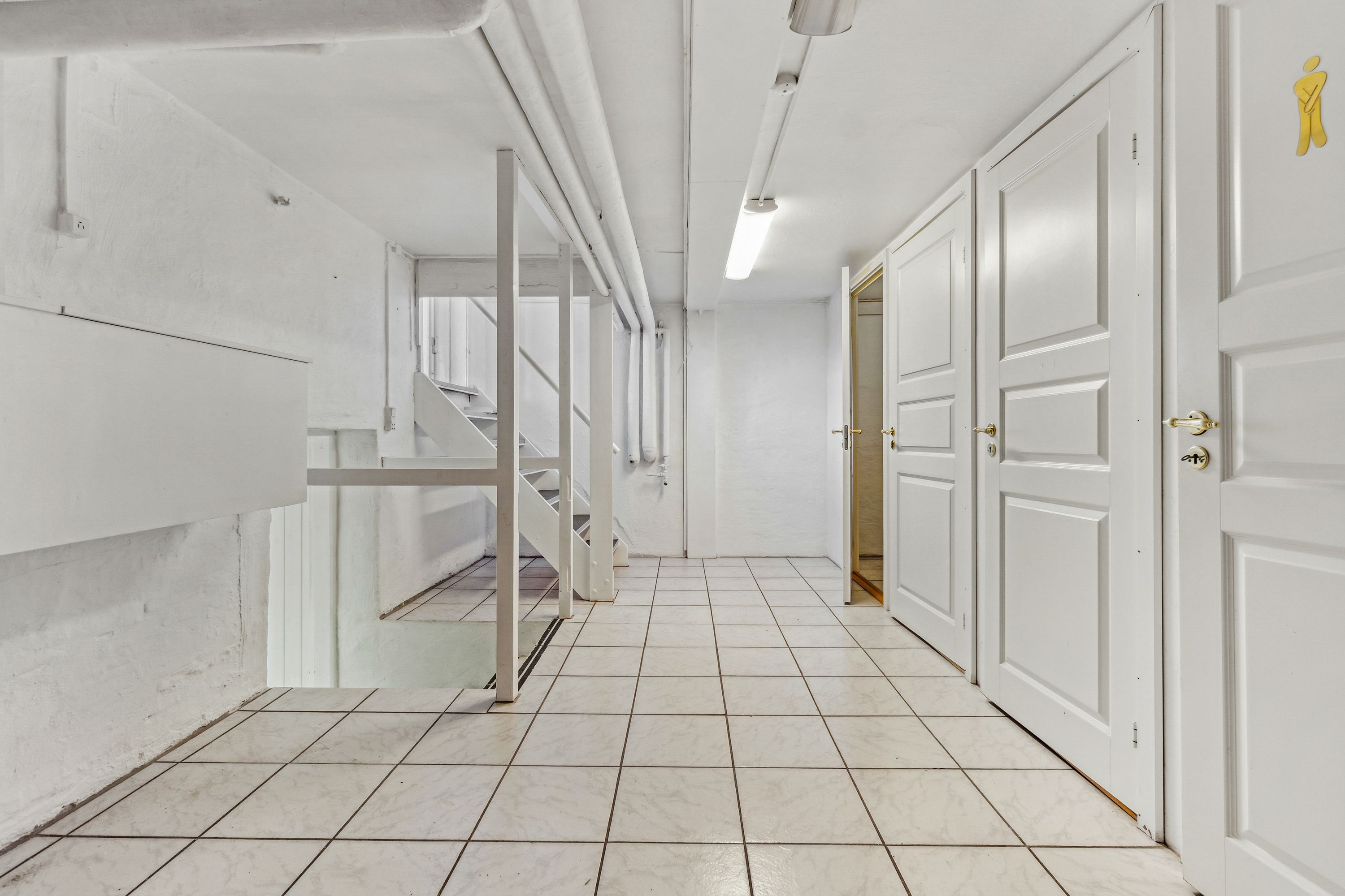 Hvid marmor gulv og vægge i lejlighedsindgang. To hvide døre med guldbeslag. Rør og kabelrør løber langs loftet. Støbejernsgesims og trappe foran. Mærke på væggen med mandssymbol