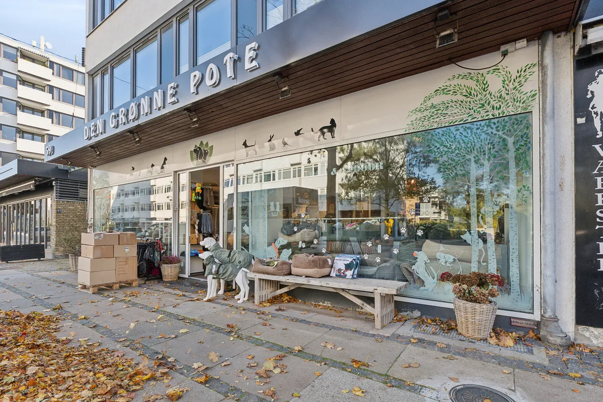 Butikslejemål i Charlottenlund med vinduer dekoreret med hunde og træer. To hundefigurer og en bænk foran vinduet. Et træ med planter og blomster i kurv.