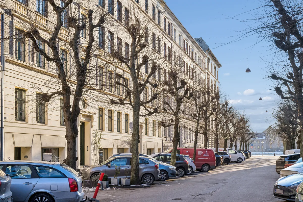 Række med parkerede biler på Schleppegrellsgade, kantede af gamle bygninger og træer, der står uden løv, i klart, blåt vejr