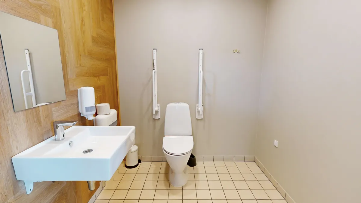 Hvidt toilet med håndtaget i toilettet og håndvask med vandhaner i hvidt badeværelse med håndstrygere og hånddesinfektionsmiddel ved siden af spejl