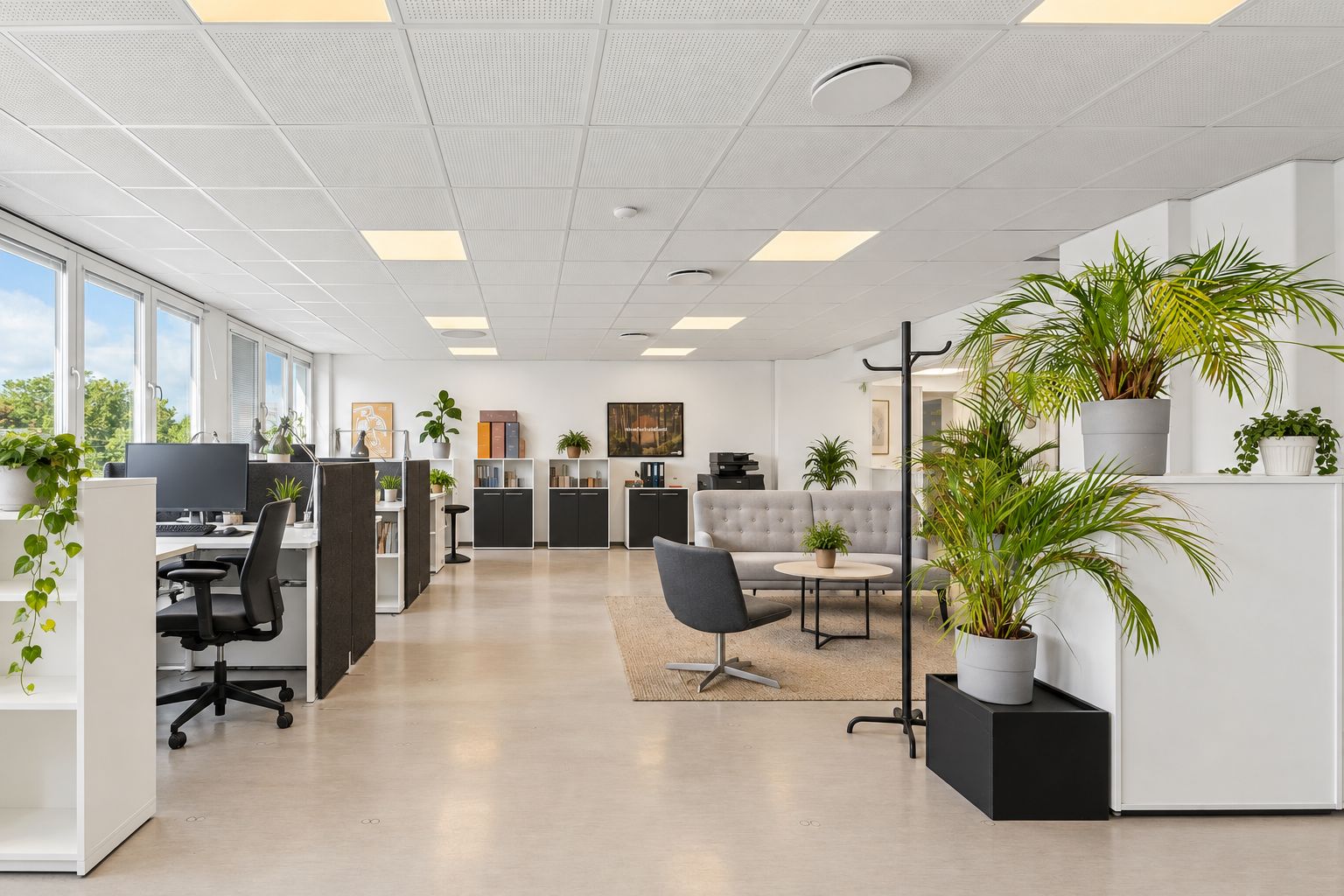 Kontorområde med højt loft og lysegulve. Smukke lyseplanter og højkvalitets møbler. Billige lejemål og flere kontorrum.