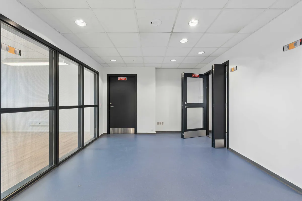 Lyst laboratorium med moderne design og høj kvalitet. To åbne døre og store vinduer med net. Hvidt loft med runde lysekroner og lysegulv.